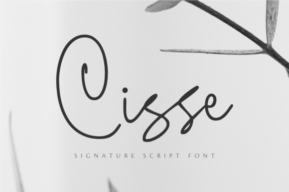 Cisse: A Premium Script Font for Modern Web Design