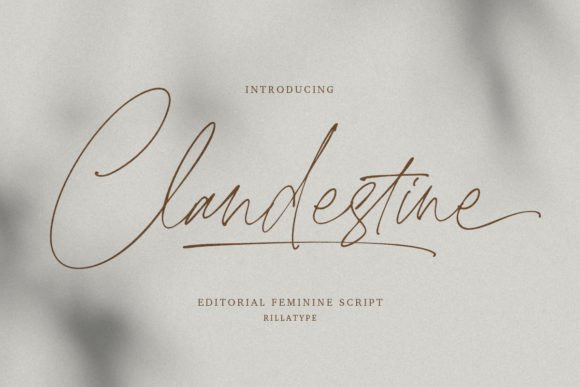 Clandestine: A Romantic Script Font for Editorial Design