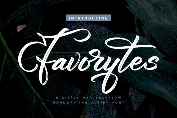 Favorytes: A Designer's Honest Review for Branding