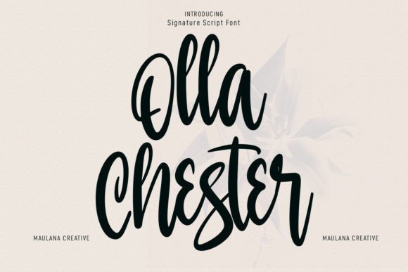 Olla Chester: A Modern Script Typeface for Elegant Editorial Design
