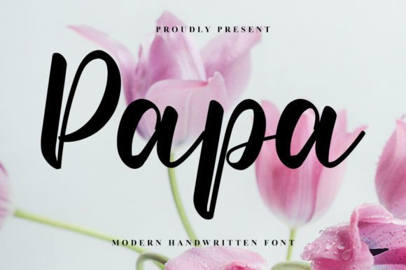 Papa Font Review: A Handwritten Typeface for Modern Web Design