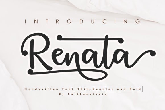 Renata Font: The Handwritten Typeface That Elevates Campaigns