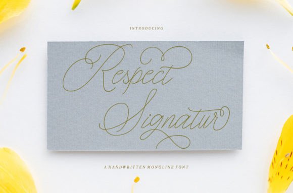 Respect Signature Font Review for Social Campaigns